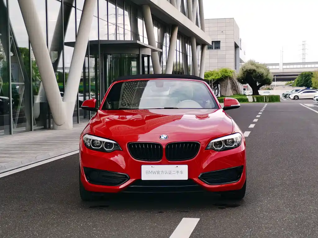 BMW 2 Series (Import) — миниатюра 2