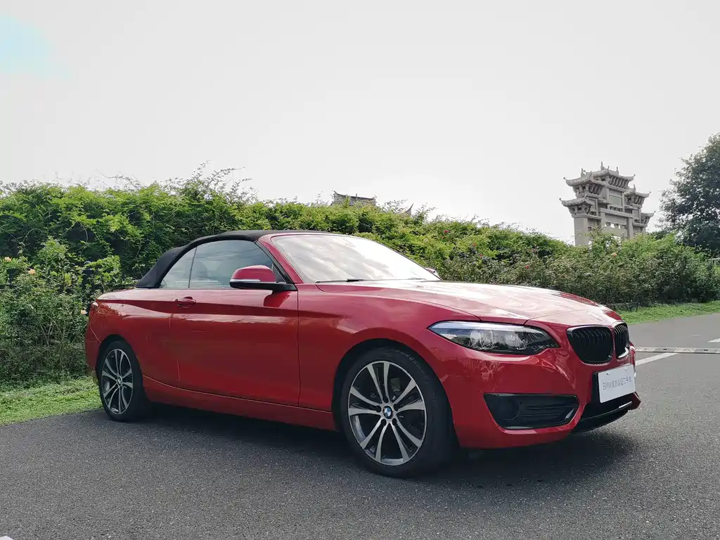 BMW 2 Series (Import) — миниатюра 10