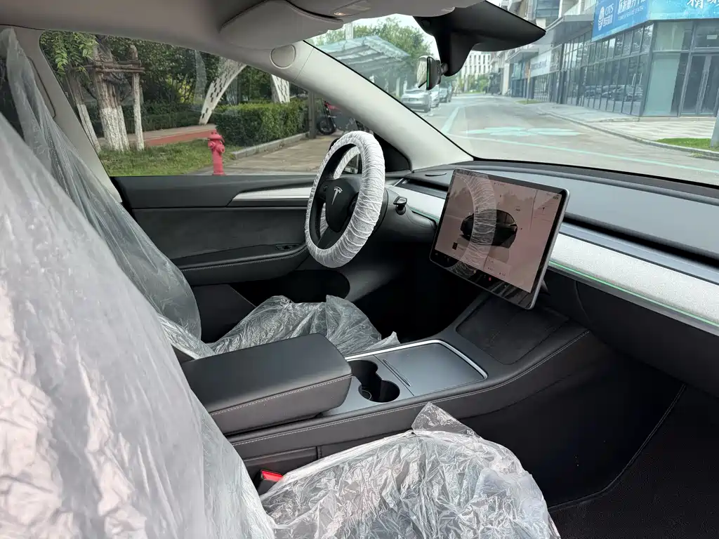 Tesla Model Y — миниатюра 21