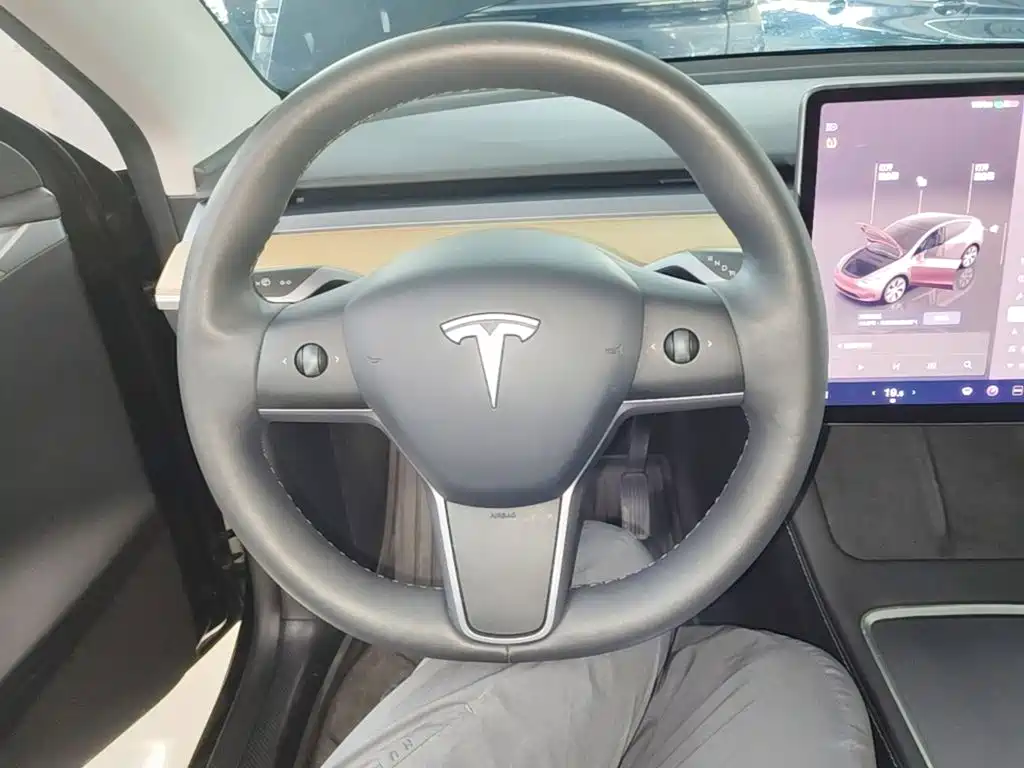 Tesla Model Y — миниатюра 11