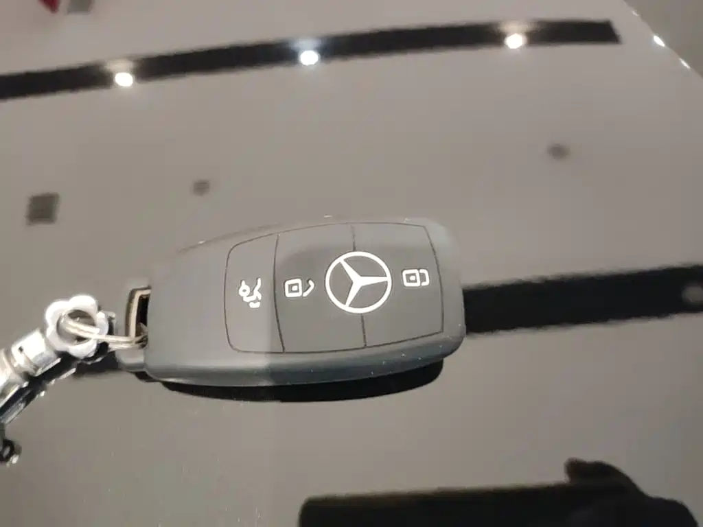 Mercedes-Benz 奔驰GLE(进口) — миниатюра 9