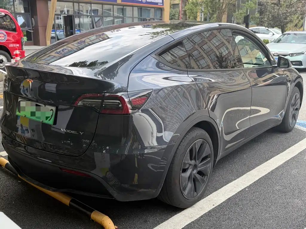 Tesla Model Y — миниатюра 3