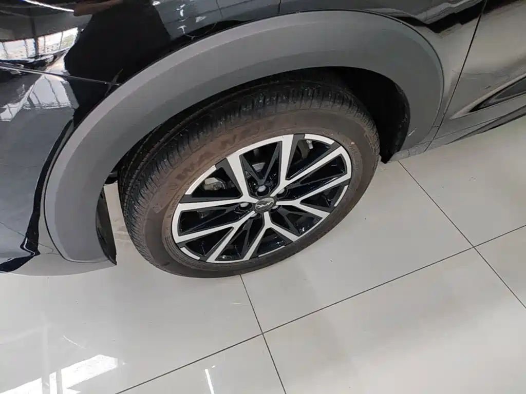 JAC JAC X8 PLUS — миниатюра 23