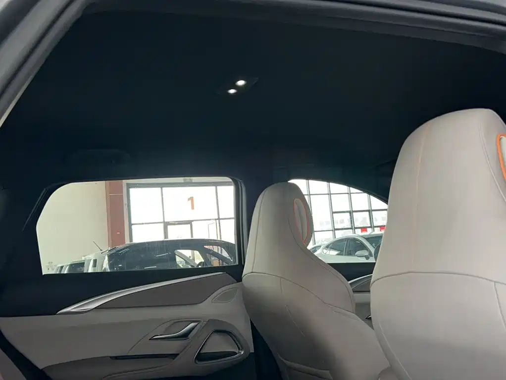 BYD Pro New Energy — миниатюра 17