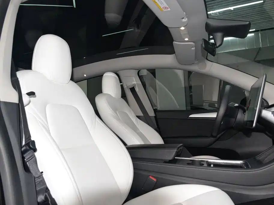 Tesla Model Y — миниатюра 16