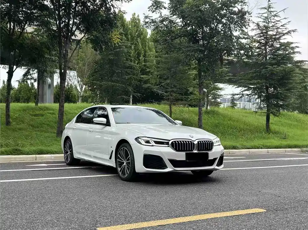 BMW 5 Series — миниатюра 3