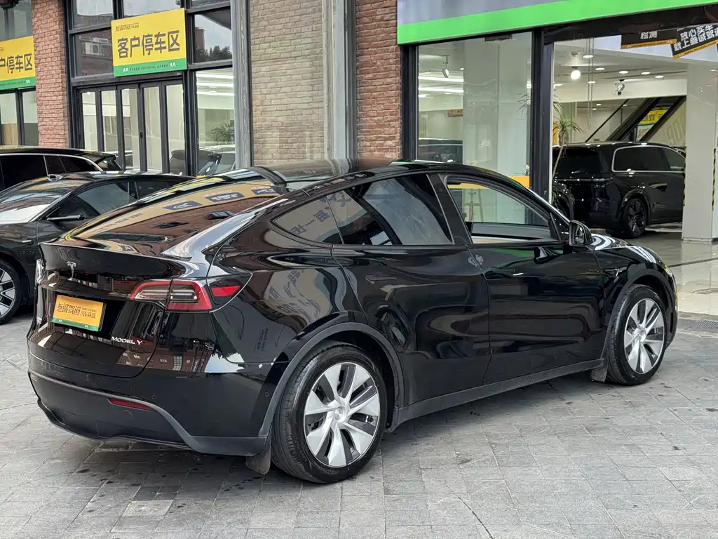 Tesla Model Y — миниатюра 7