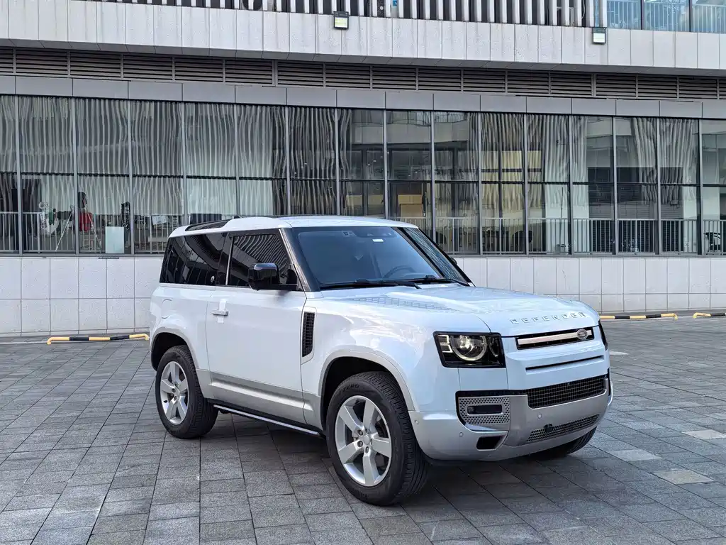 Land Rover Defender 90 2.0T P300 Tiger Power Mighty Heart Edition, фото 3