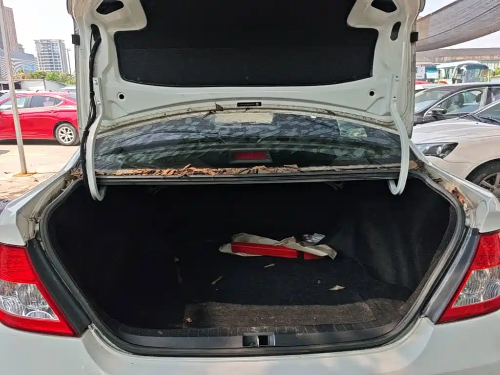 BYD F3 — миниатюра 19