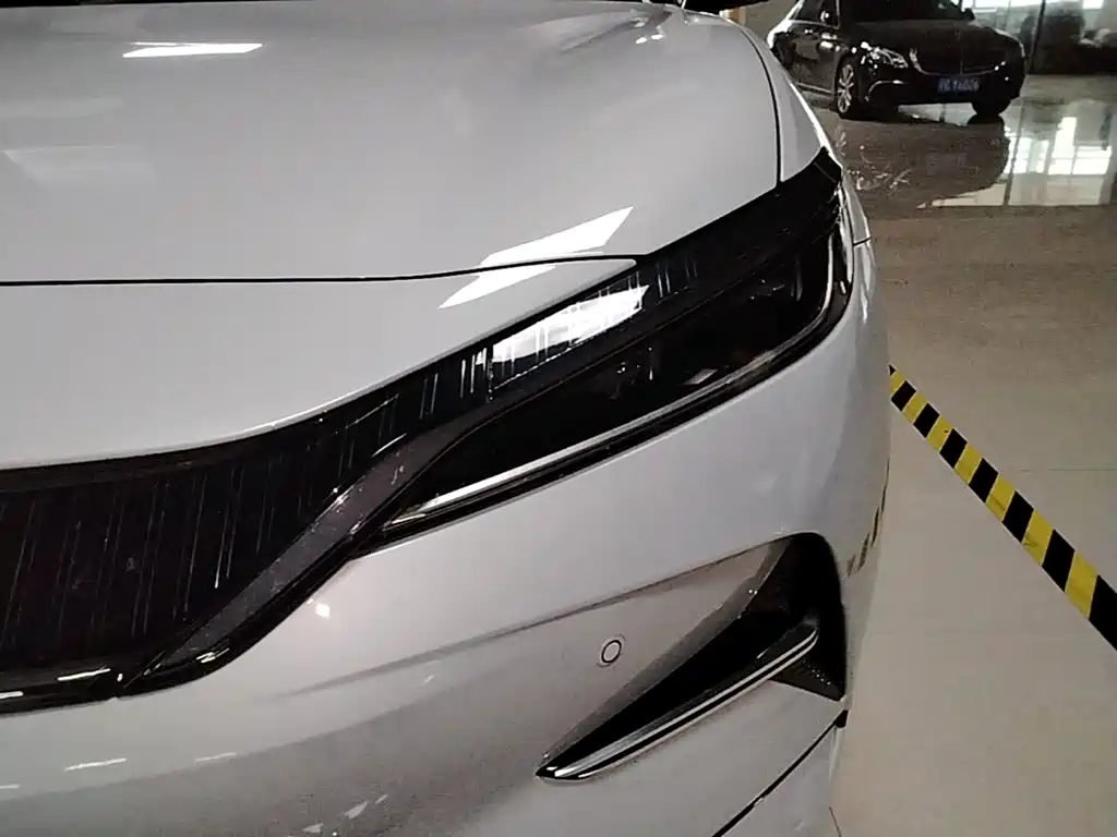 BYD L EV — миниатюра 24