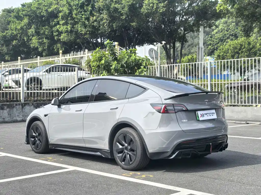 Tesla Model Y — миниатюра 5