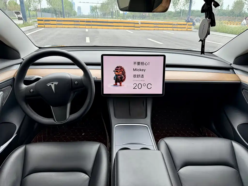 Tesla Model 3 — миниатюра 7