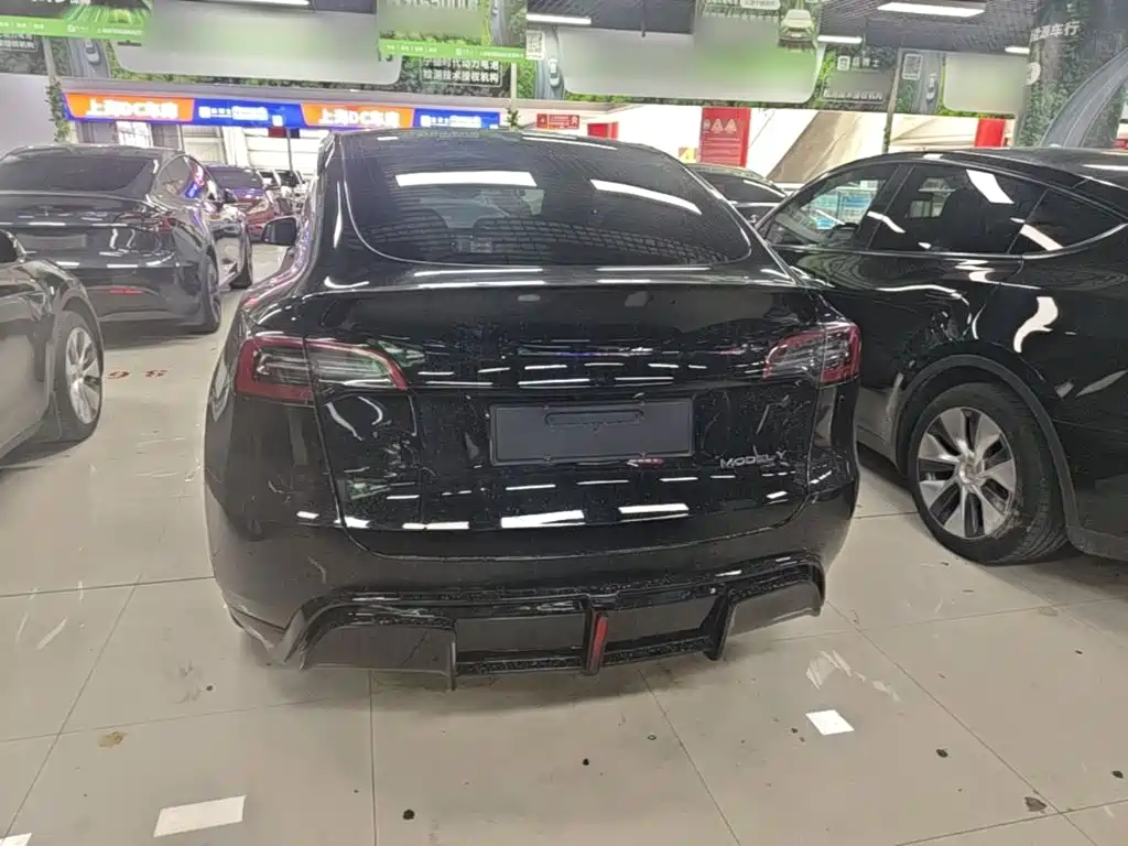 Tesla Model Y — миниатюра 6