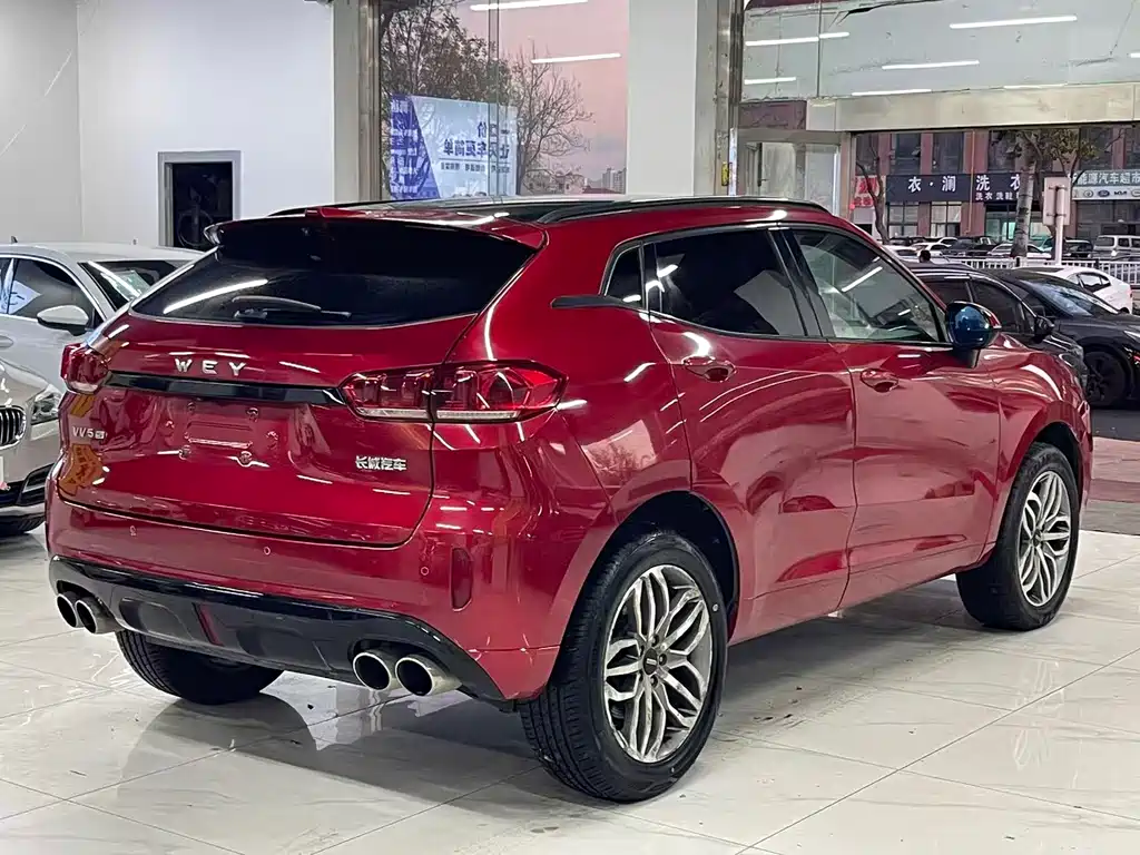 WEI PAI WEI BRAND VV5