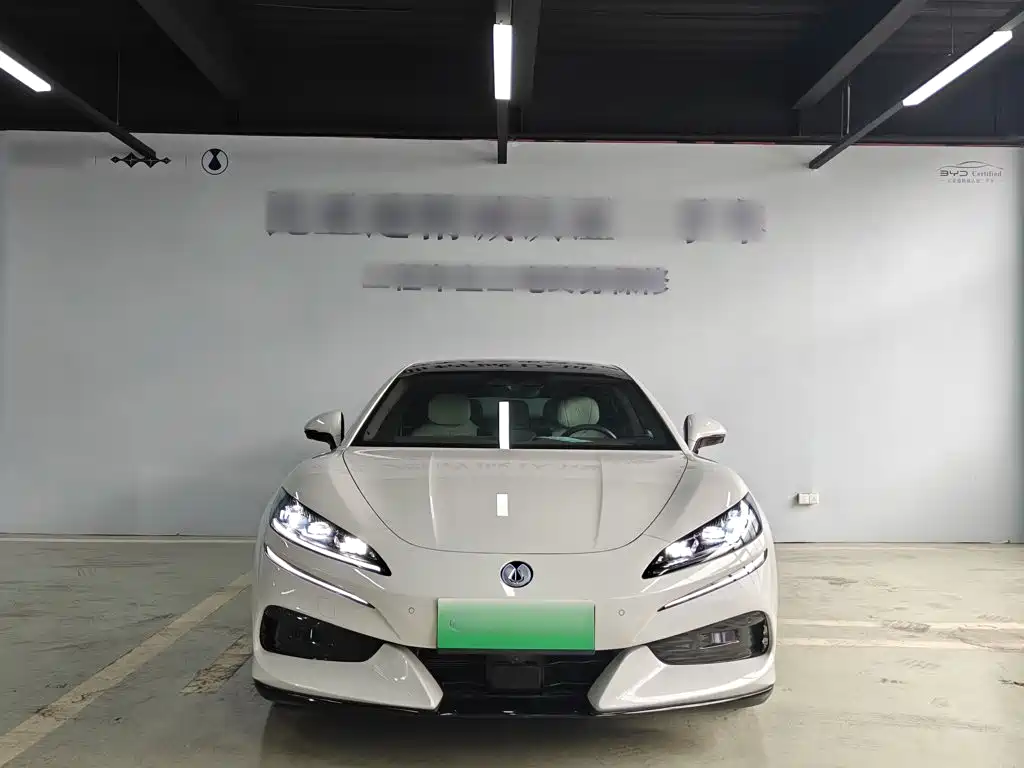 Denza Denza Z9GT — миниатюра 9