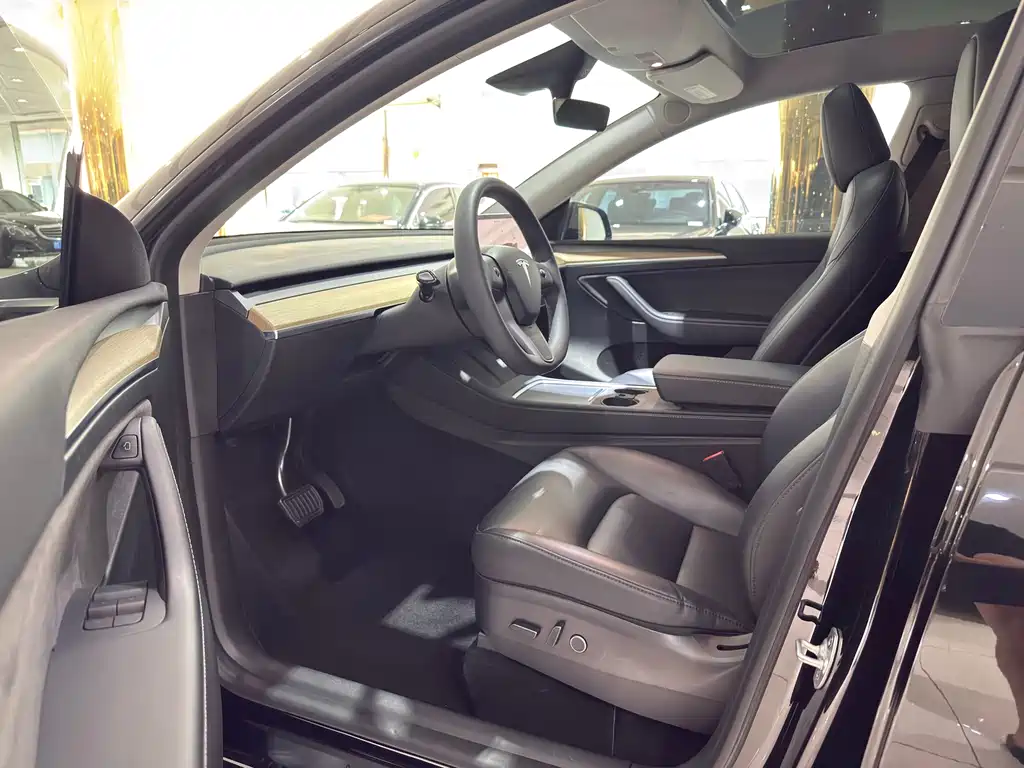 Tesla Model Y — миниатюра 7