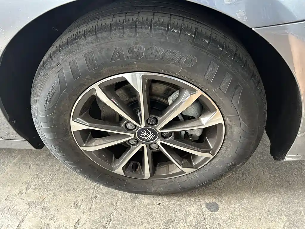 BYD Qin Plus PLUS 2023 Champion DM-i 55KM Lead