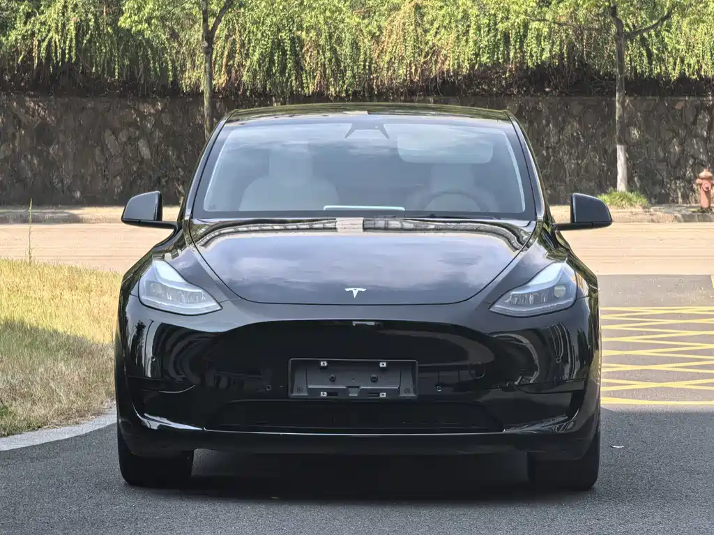 Tesla Model Y — миниатюра 2