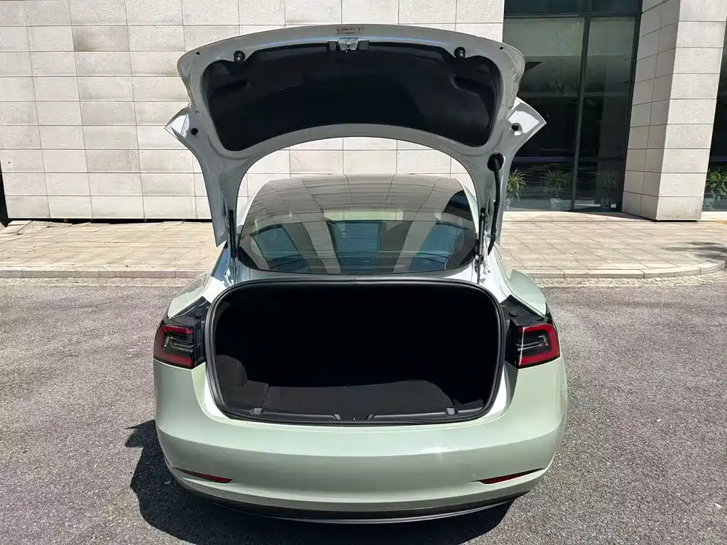 Tesla Model 3 — миниатюра 6