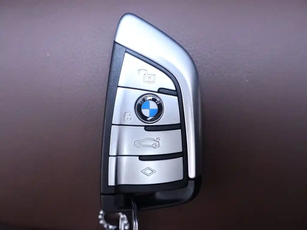 BMW X5 (Import) — миниатюра 25