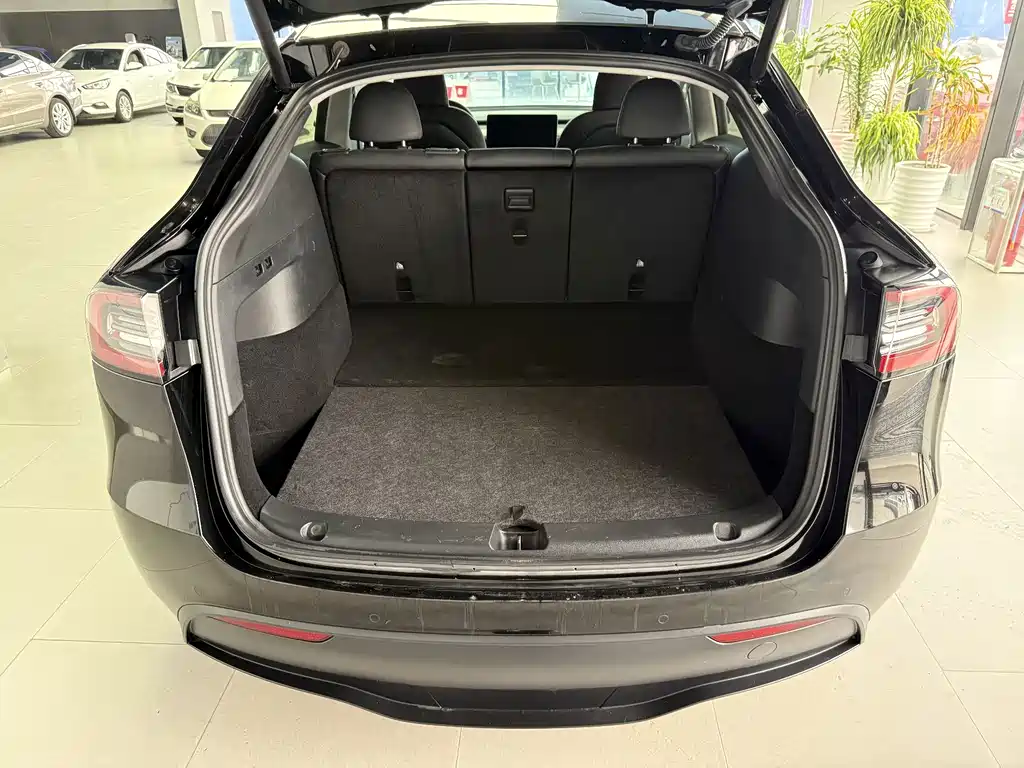 Tesla Model Y — миниатюра 15