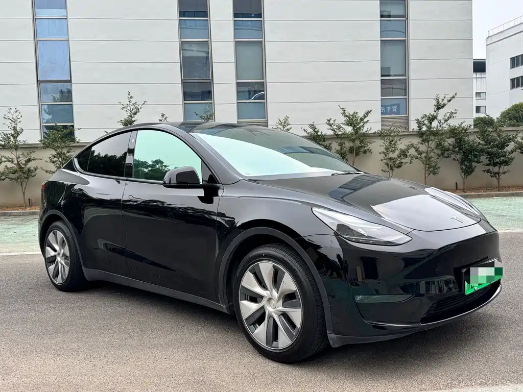 Tesla Model Y — миниатюра 3