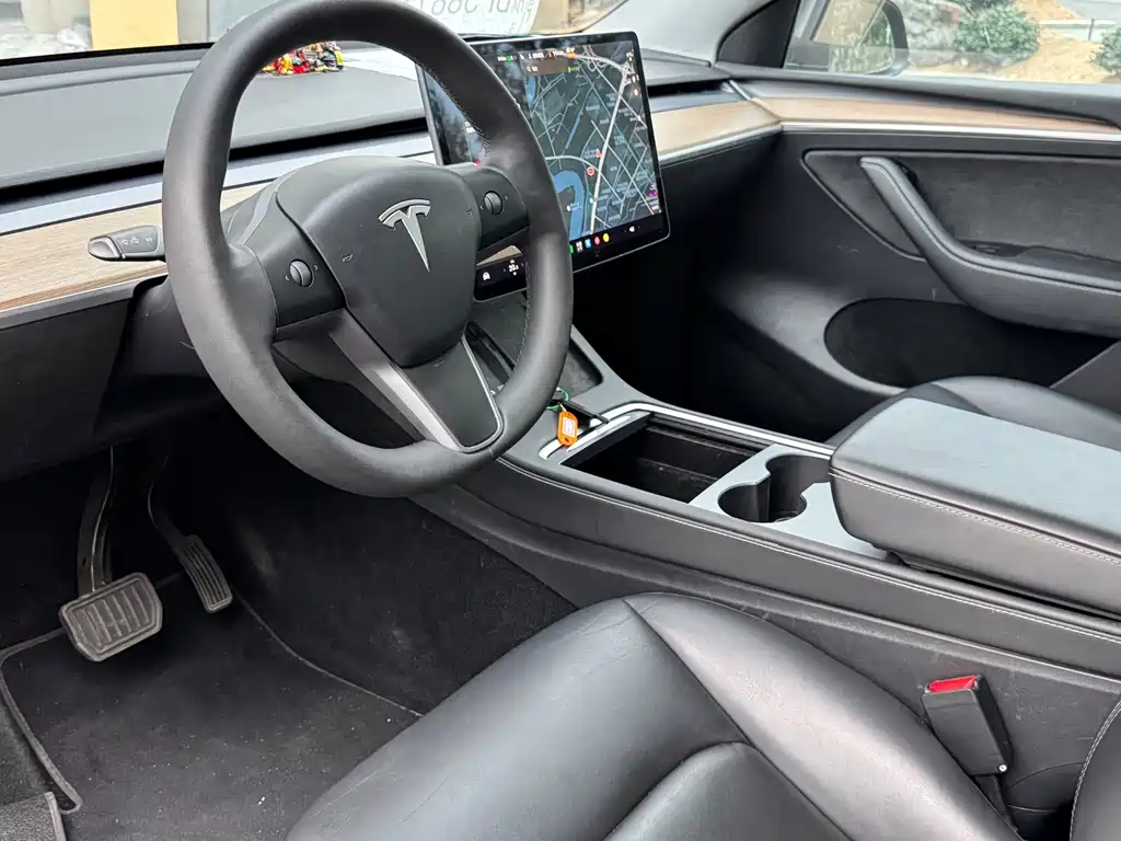 Tesla Model Y — миниатюра 4