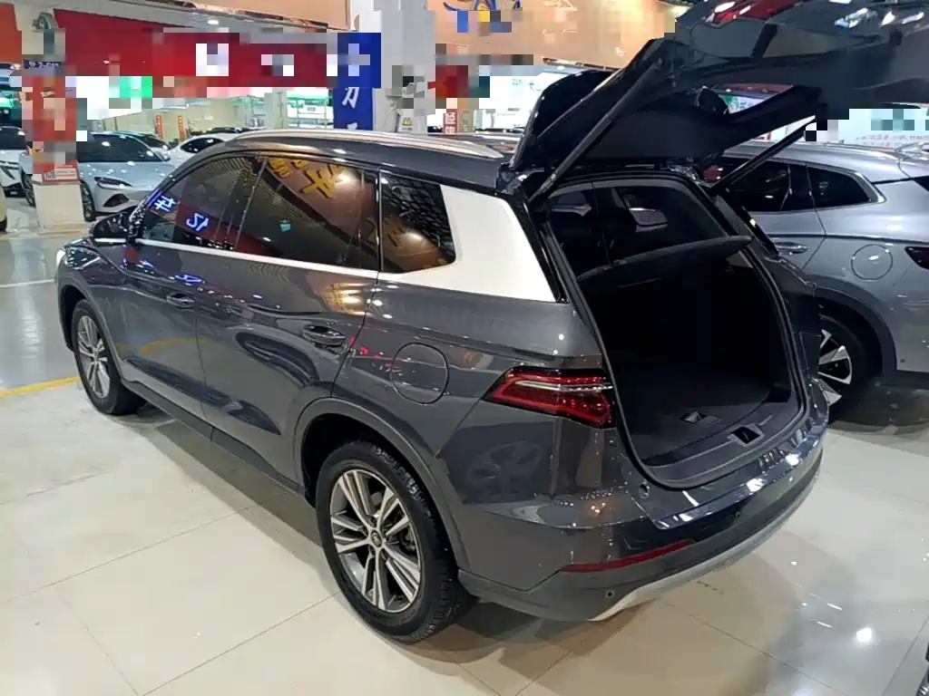 BYD Pro — миниатюра 5