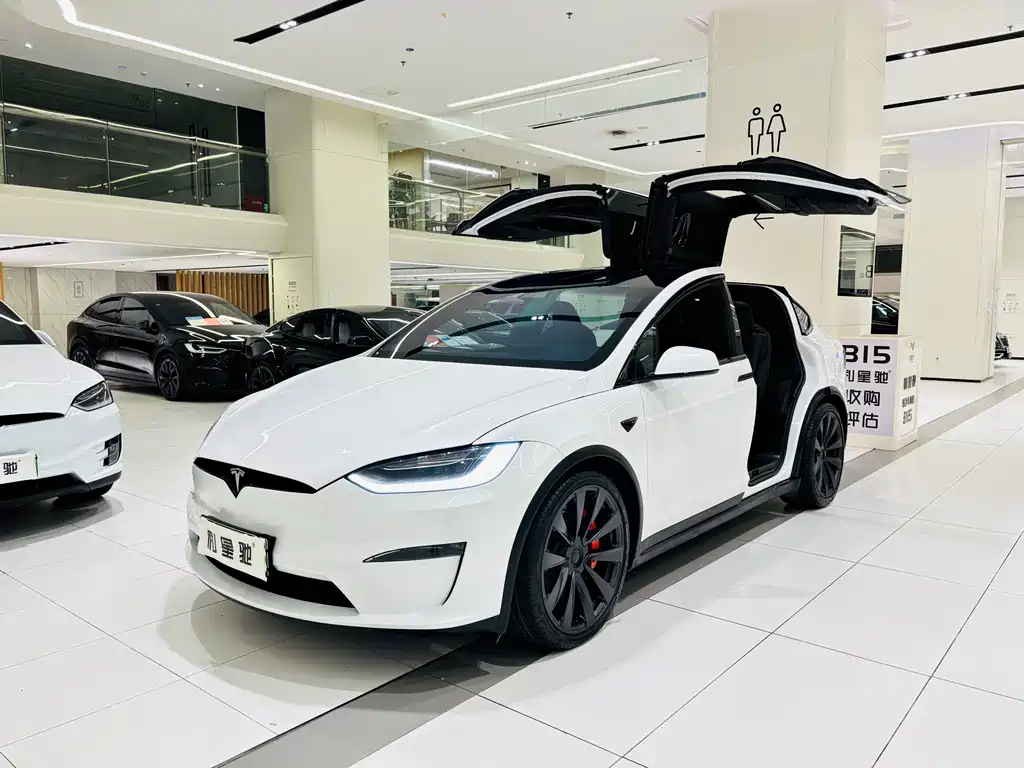 Tesla Model X — миниатюра 10