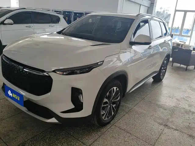 Maxus D60