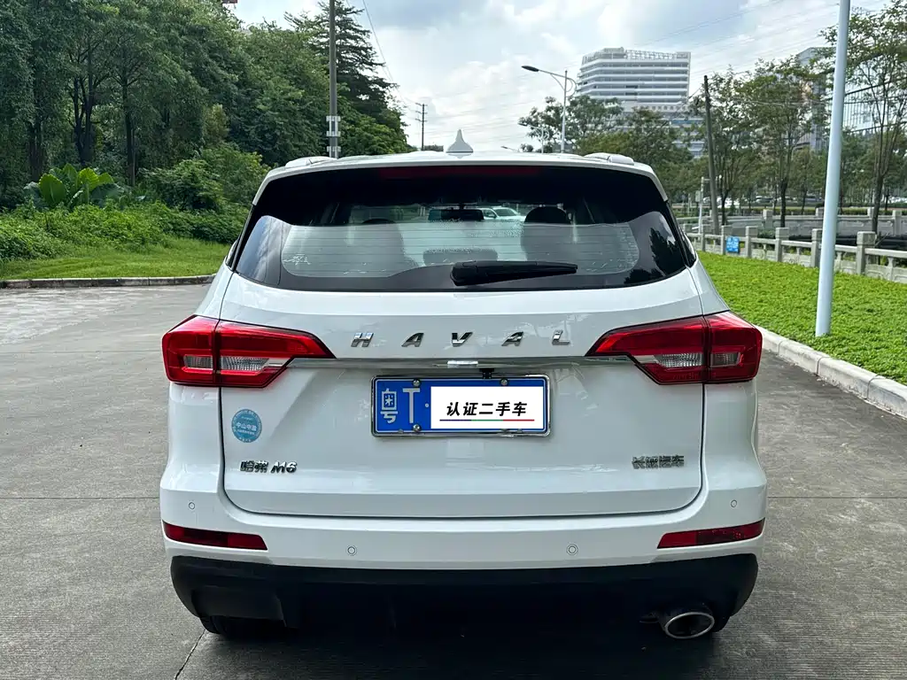 HAVAL  M6