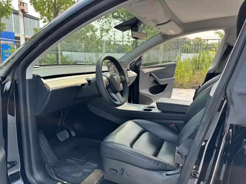 Tesla Model Y — миниатюра 5