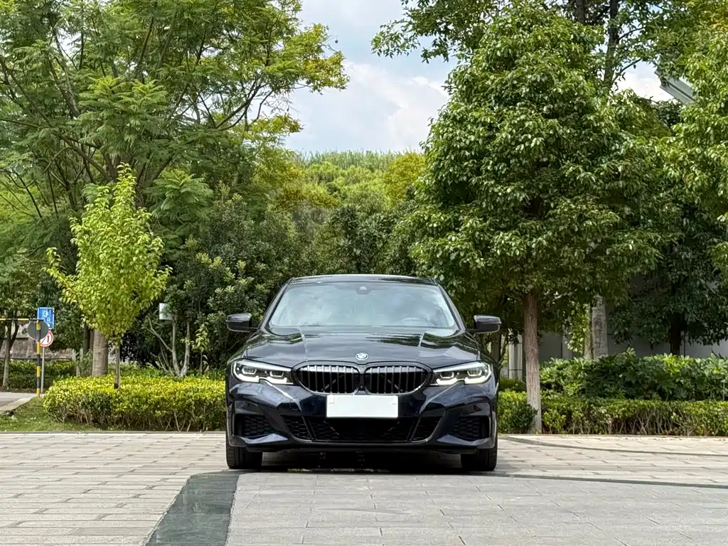 BMW 3 Series — миниатюра 2