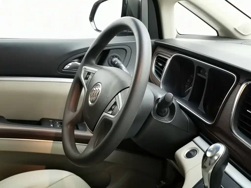 Buick GL8 — миниатюра 22