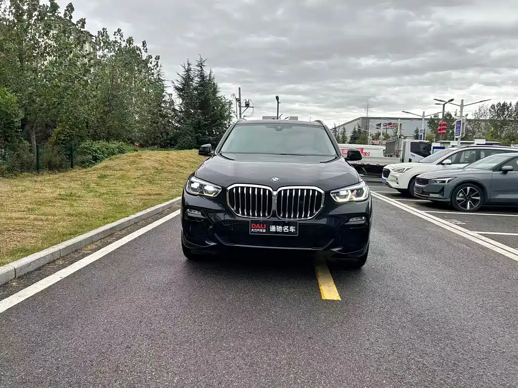 BMW X5 (Import) — миниатюра 2
