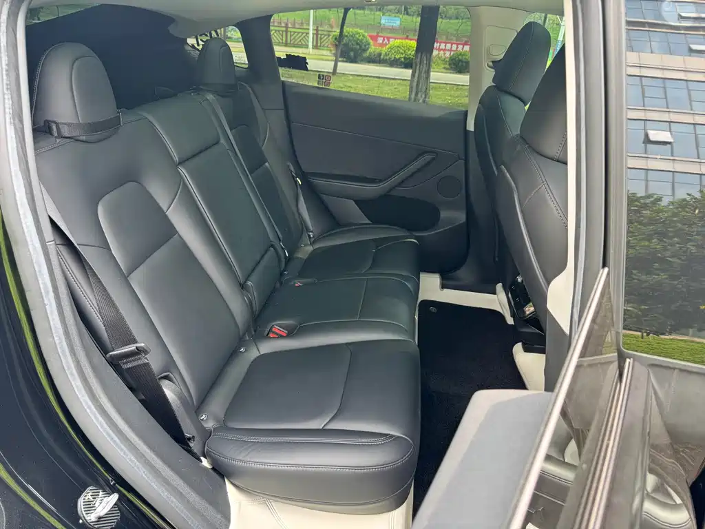 Tesla Model Y — миниатюра 11