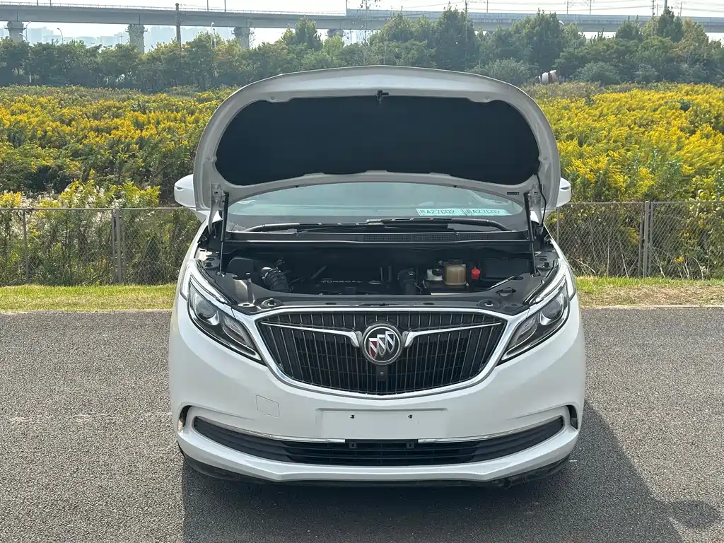Buick GL8 — миниатюра 18