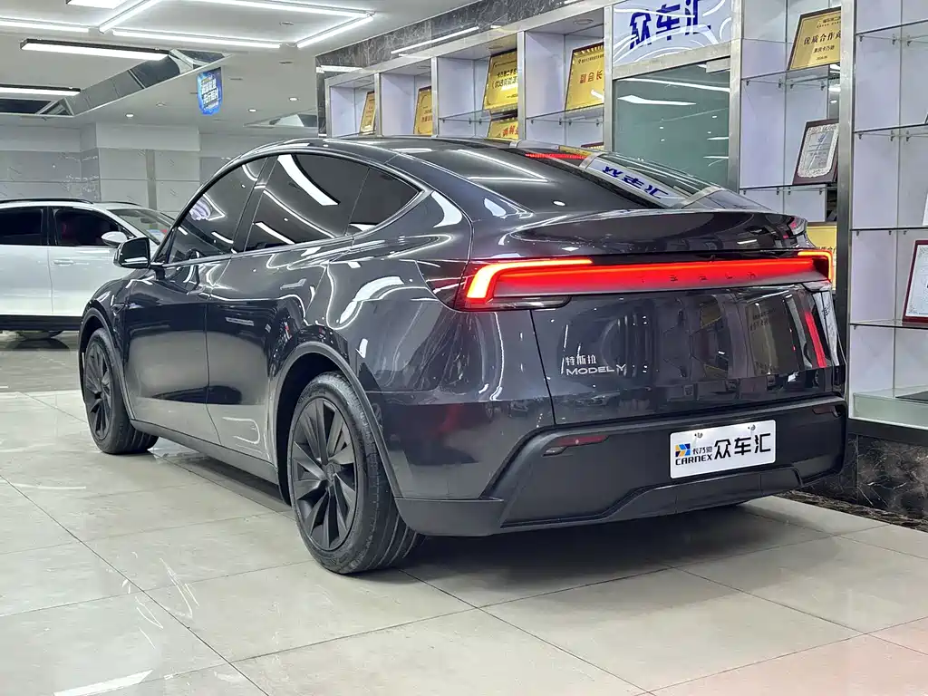 Tesla Model Y — миниатюра 4