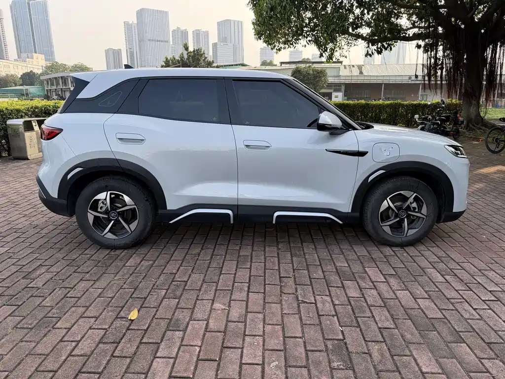 BYD Yuan Up UP 2024 401KM Lead