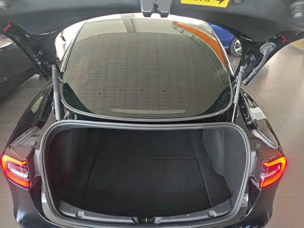 Tesla Model 3 — миниатюра 19