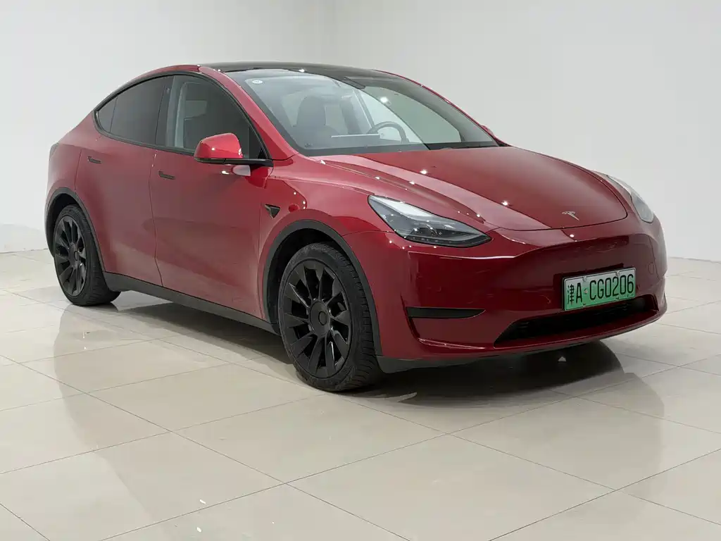 Tesla Model Y — миниатюра 3