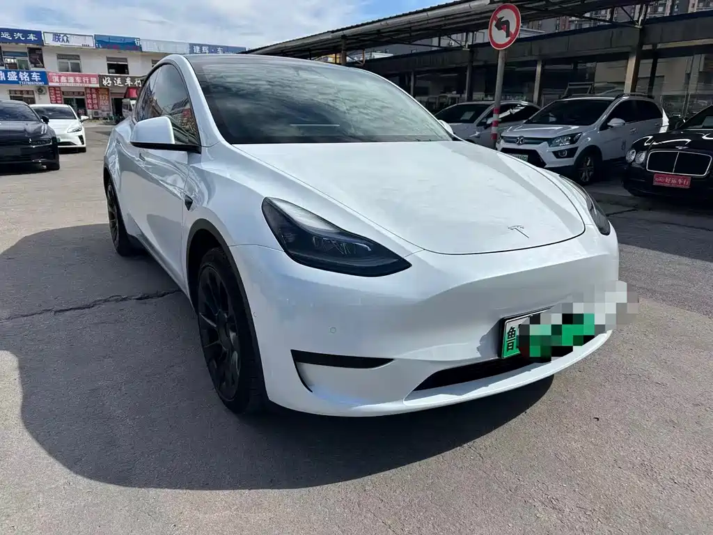 Tesla Model Y — миниатюра 3