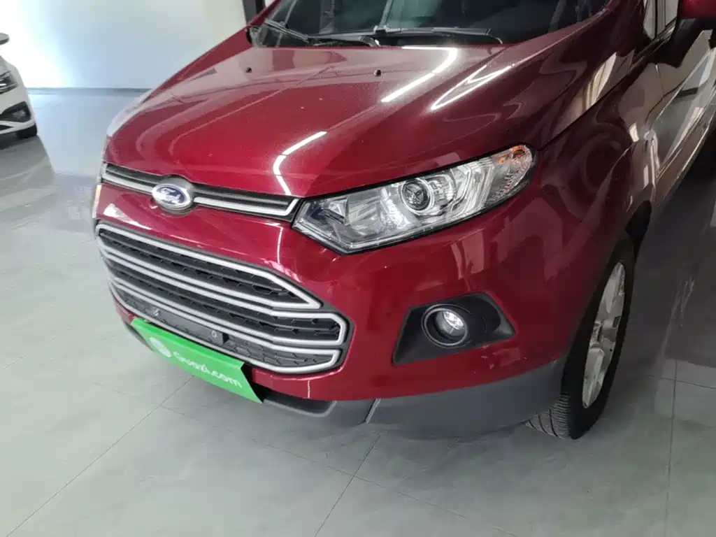 Ford Ecosport — миниатюра 24