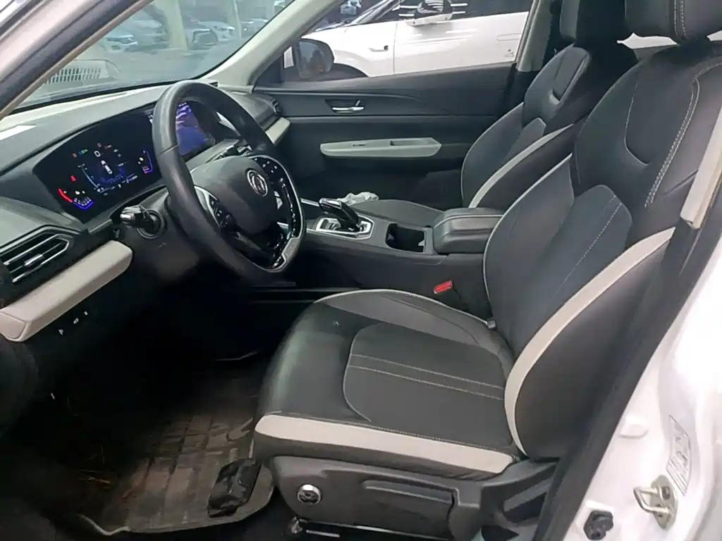 Aeolus E70 — миниатюра 15