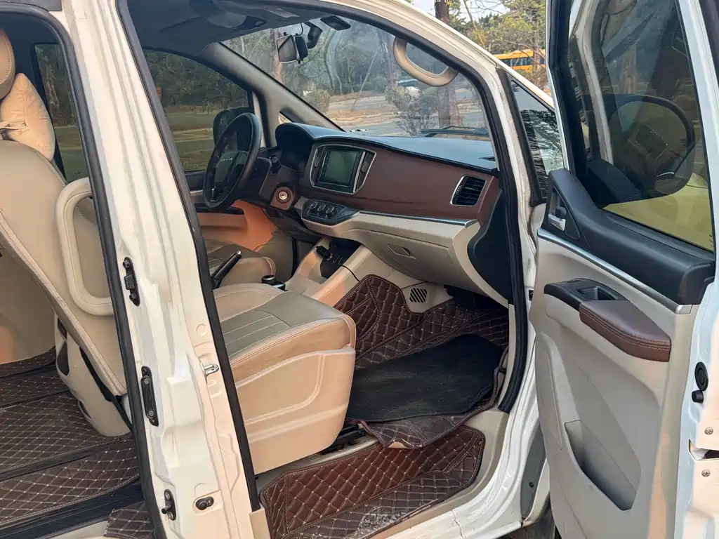 DONGFENG LINGZHI NEW ENERGY