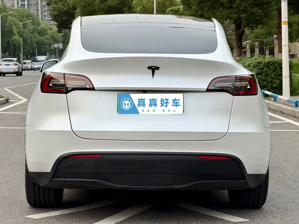 Tesla Model Y — миниатюра 5
