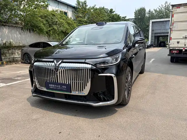 2025 Voyah Dream