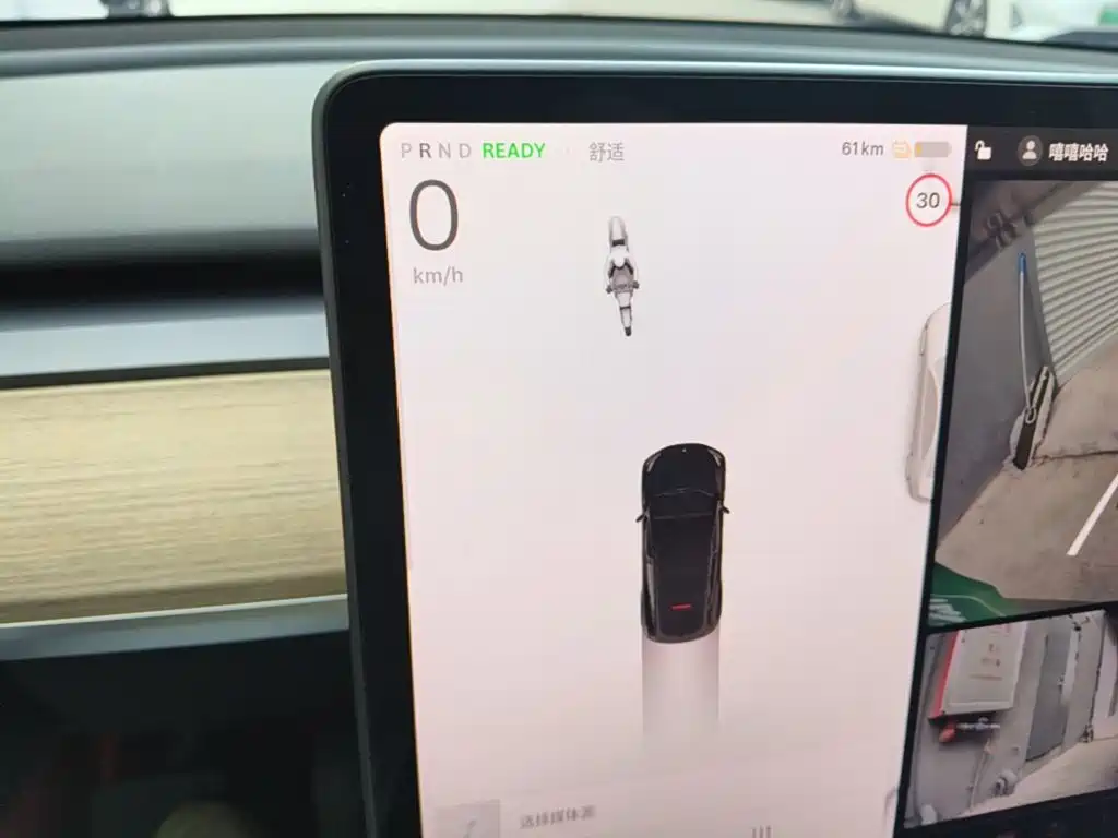 Tesla Model Y — миниатюра 16