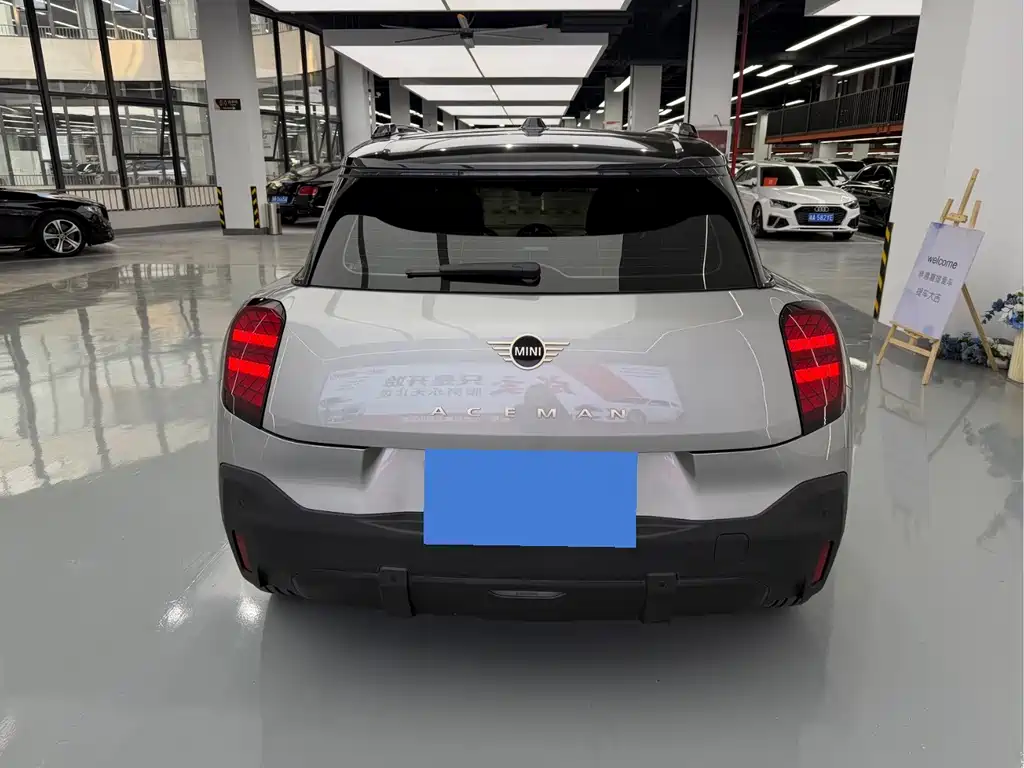 MINI MINI ACEMAN EV — миниатюра 14