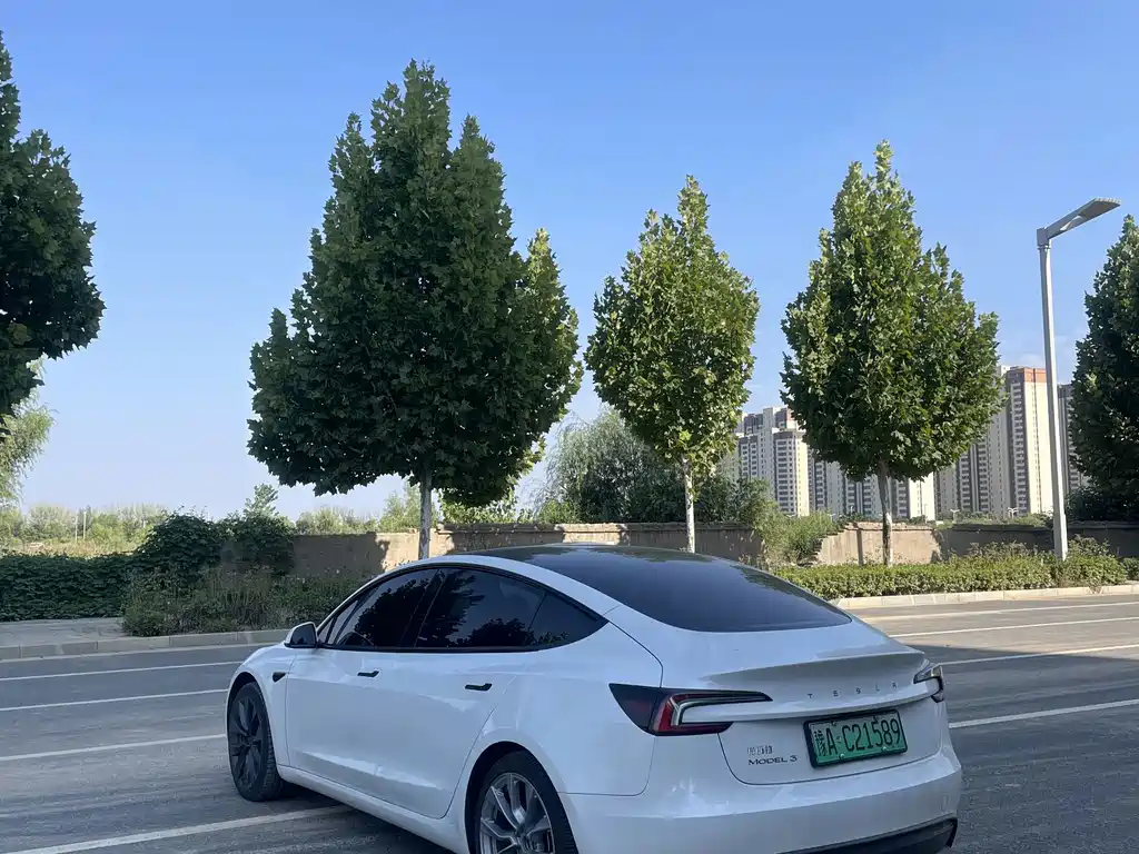 Tesla Model 3 — миниатюра 7